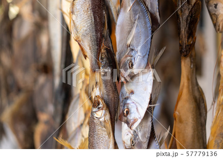 Dry fish womer mullet hanging on rope drying on Dry fish womer mullet hanging on rope drying on 57779136