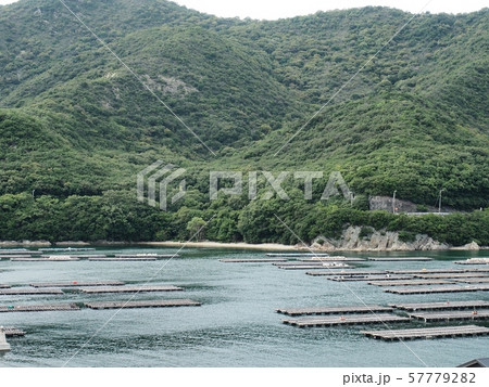 室津大浦湾 室津漁港からの風景 室津大浦湾 室津漁港からの風景 57779282