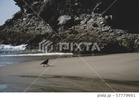 A Walk On The Beach 57779601
