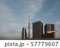 Tokyo City Scape  57779607