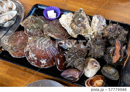 浜焼きセット たくさんの貝 浜焼きセット たくさんの貝 57779986