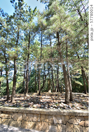 石川県　安宅関 57780014