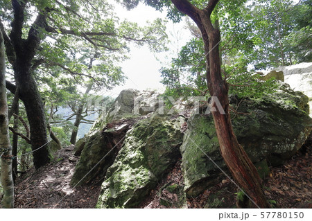 鈴鹿峠の鏡岩側面 57780150