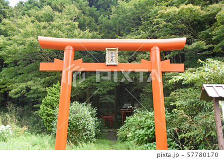 阿字ケ池弁財天社 箱根七福神 阿字ケ池弁財天社 箱根七福神 57780170