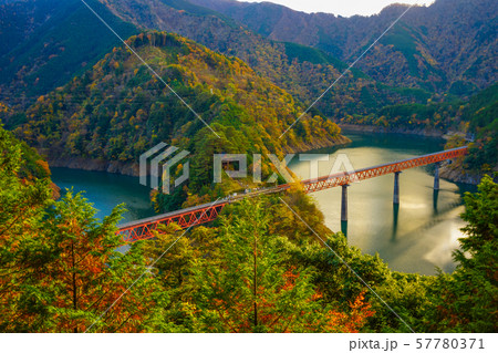 【静岡県】　奥大井湖上駅　紅葉　秋 57780371