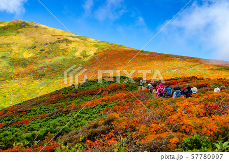 栗駒山の紅葉 57780997