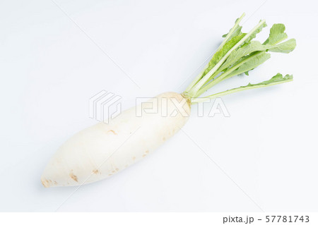daikon radishes isolated on white daikon radishes isolated on white 57781743