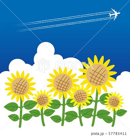 ひまわり畑と飛行機雲のある夏の風景のイラスト素材