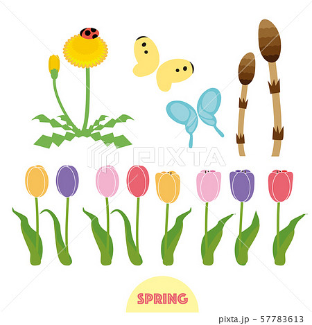 春の草花と虫のイラスト素材 57783613 Pixta
