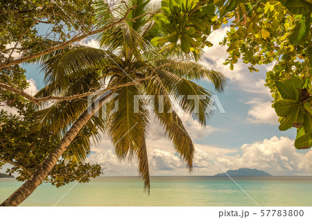 Retro style image of tropical island beach 57783800
