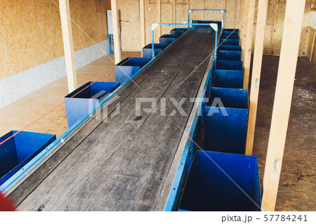 Trash being sorted on conveyor belt, cropped new clean. Trash being sorted on conveyor belt, cropped new clean. 57784241