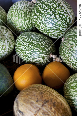 Melons and watermelons 57784746