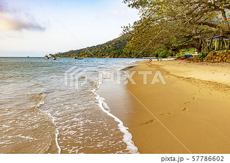 Ilhabela Island Beach one of the main tourist 57786602