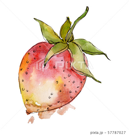 Strawberry healthy food in a watercolor style isolated. Watercolour background set. Isolated berry 57787027