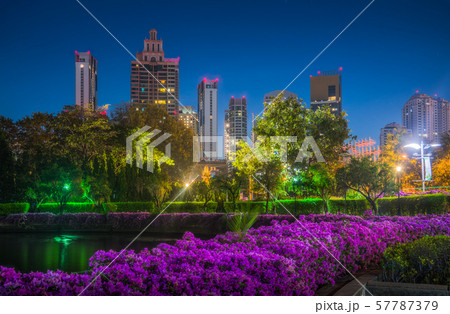 City Park with Lake and Skyscrapers at Night 57787379
