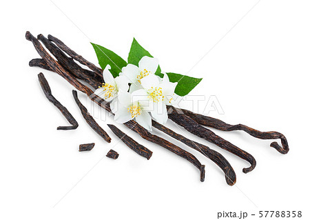 Vanilla sticks with flower and leaf isolated on white background 57788358