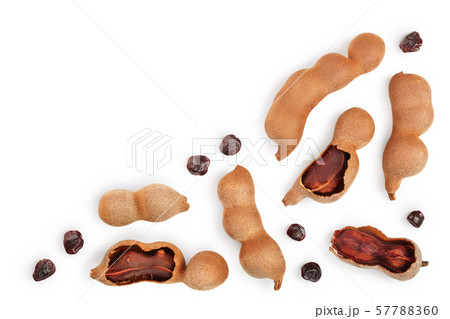 Tamarind fruit with seed isolated on white background with copy space for your text. Top view. Flat Tamarind fruit with seed isolated on white background with copy space for your text. Top view. Flat 57788360