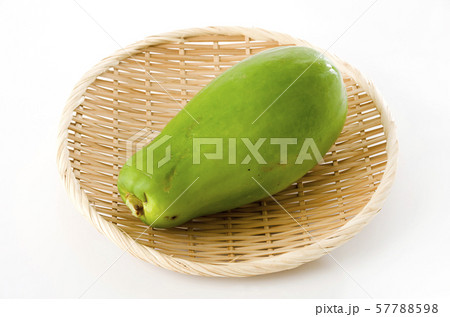 パパイヤ パパイヤ 57788598