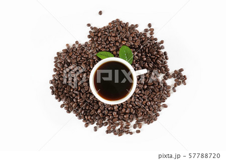 次 茶 飲料 57788720