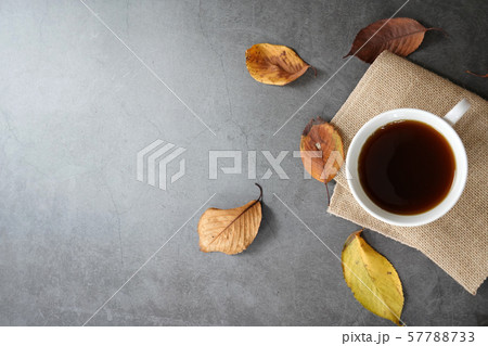 次 茶 飲料 57788733