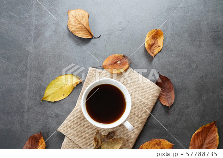 次 茶 飲料 57788735