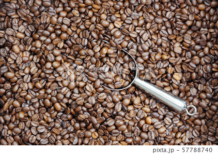 次 茶 飲料 57788740