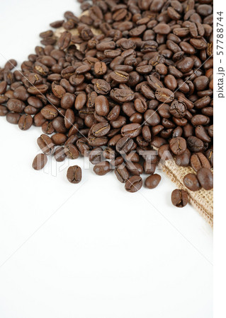 次 茶 飲料 57788744