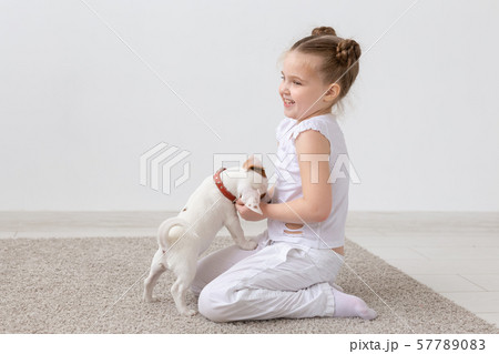 Pets and animal concept - Child girl playing with puppy Jack Russell Terrier 57789083