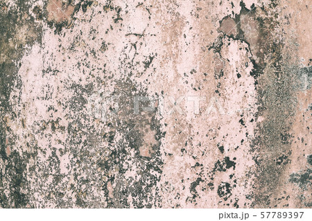 Water damage causing mold growth 57789397