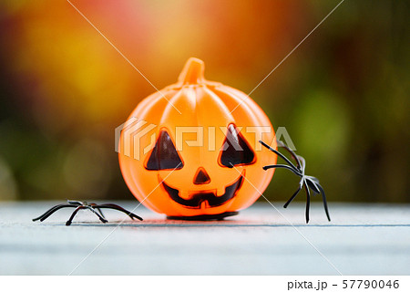 Halloween background decorated holidays festive 57790046