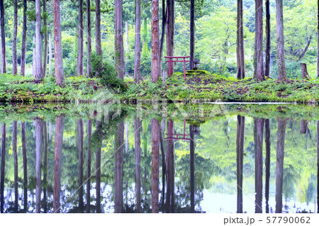 お松の池と神社 お松の池と神社 57790062