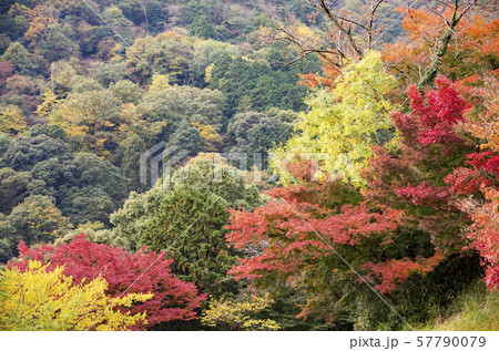 行基寺 57790079