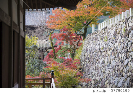 行基寺 57790199