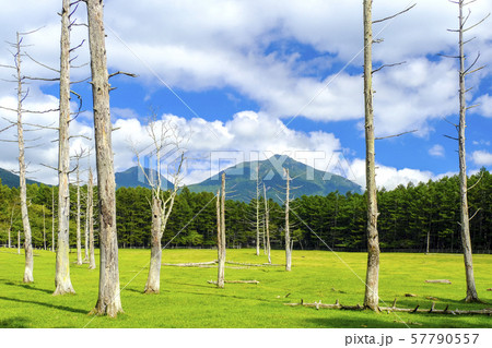 光徳牧場から大真名子山 光徳牧場から大真名子山 57790557