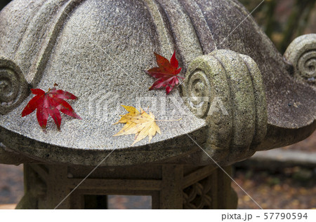 鶏足寺の紅葉 鶏足寺の紅葉 57790594