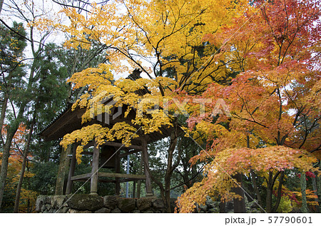 鶏足寺の紅葉 鶏足寺の紅葉 57790601