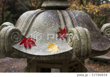 鶏足寺の紅葉 鶏足寺の紅葉 57790659