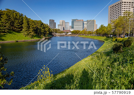 桜田濠と丸の内の近代的なビル群 57790919