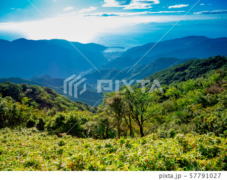 【静岡県伊豆半島】夏の高原風景【伊豆山稜線歩道・だるま山周辺】 57791027