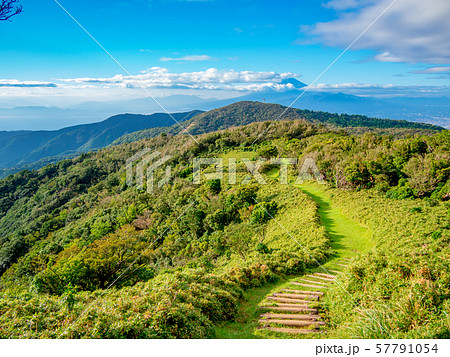 静岡県伊豆半島】夏の高原風景【伊豆山稜線歩道・だるま山周辺】の写真 