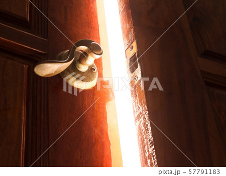 open door light 57791183