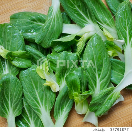 チンゲン菜 野菜 自然 57791877