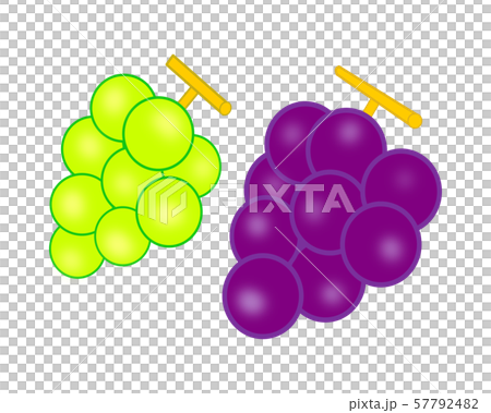 ぶどう カット 挿絵 イラスト 果物 秋の味覚のイラスト素材