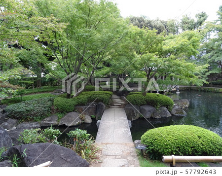 太田黒公園 池の周りの様子 太田黒公園 池の周りの様子 57792643