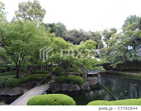 太田黒公園 池の周りの様子 太田黒公園 池の周りの様子 57792644