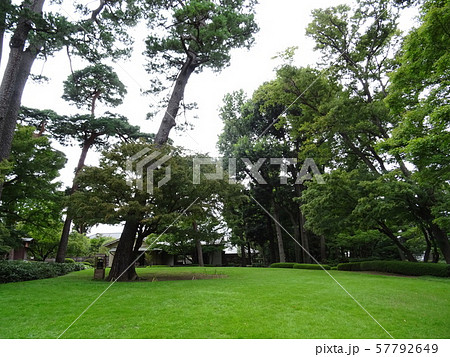 太田黒公園　茶屋前の芝生 57792649