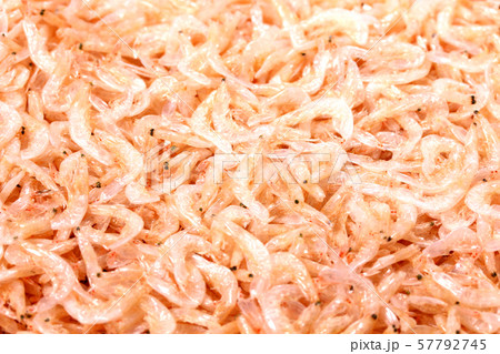 たくさんの干しえび 57792745