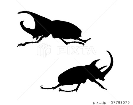 Set Of Insect Silouettes Isolated On White のイラスト素材