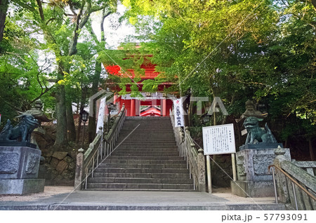 住吉神社 57793091