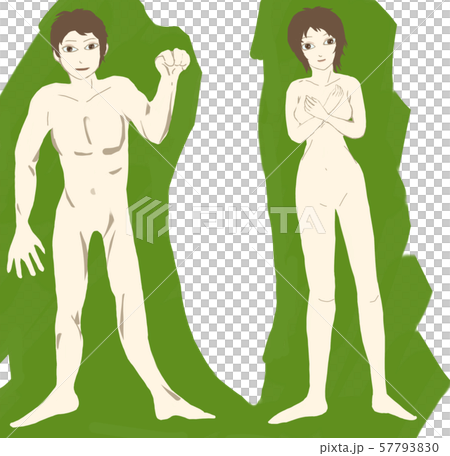 Gender body Gender body 57793830